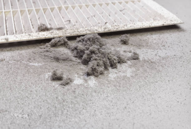 Best HVAC Maintenance and Cleaning  in Manassas, VA